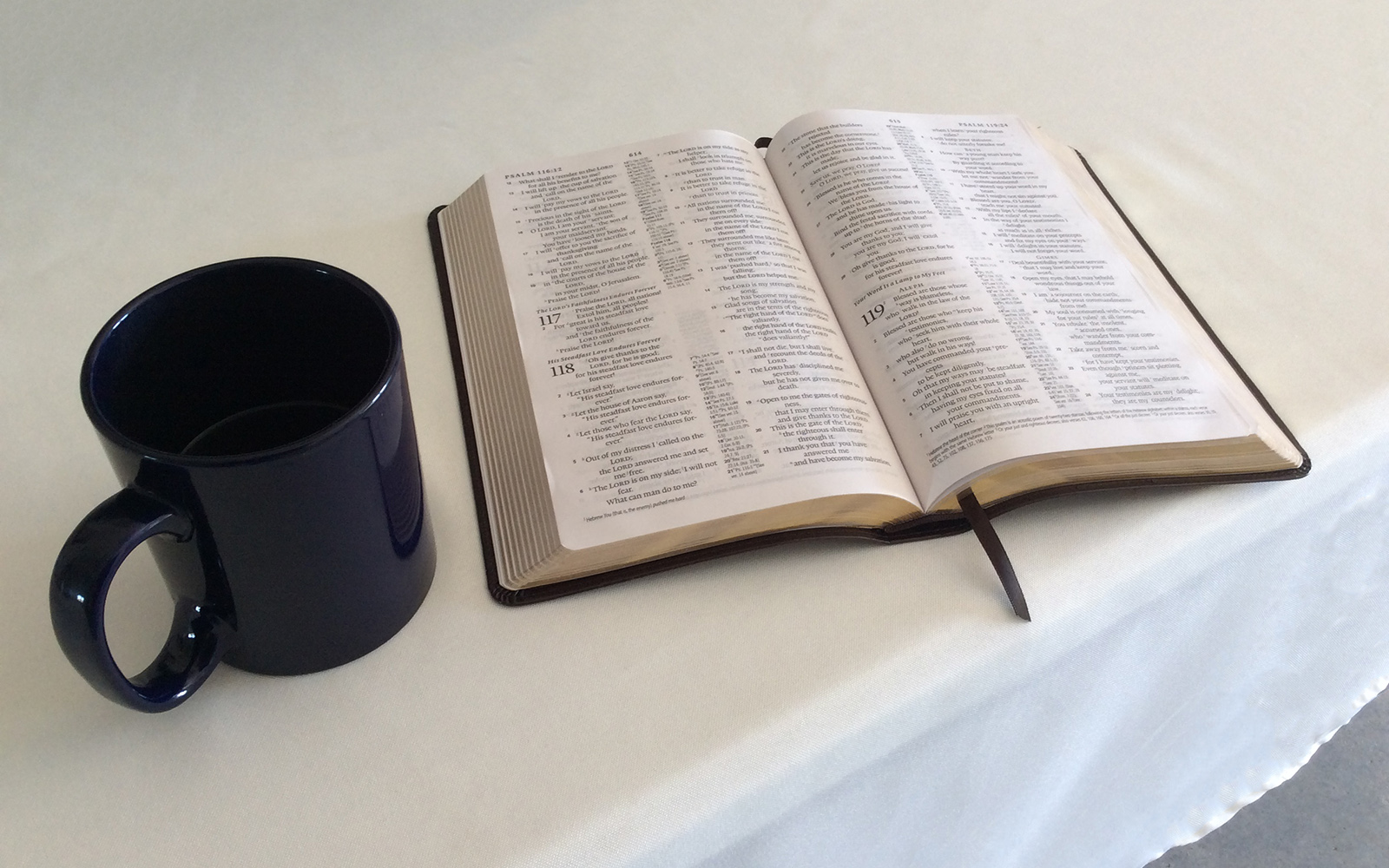 Bible Studies